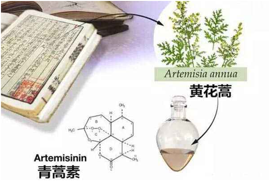 米兰官网,米兰（中国）：向中医药看齐，与世界共享中医药文化(图1)