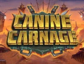 onlie casino