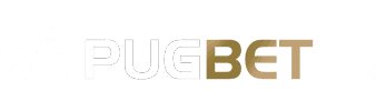comment utiliser l application 20bet